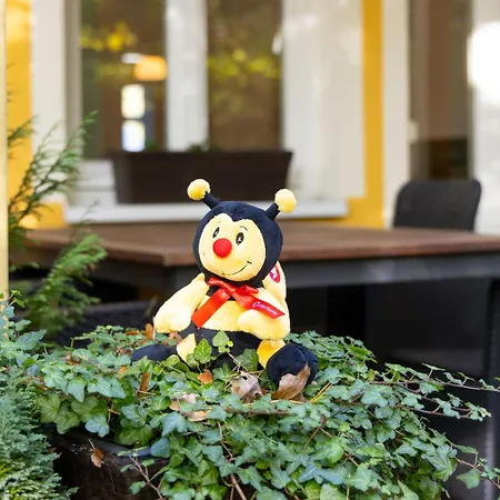 Pirol By Interhome Lägenhet *