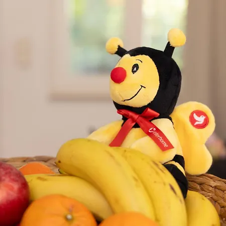 Pirol By Interhome *